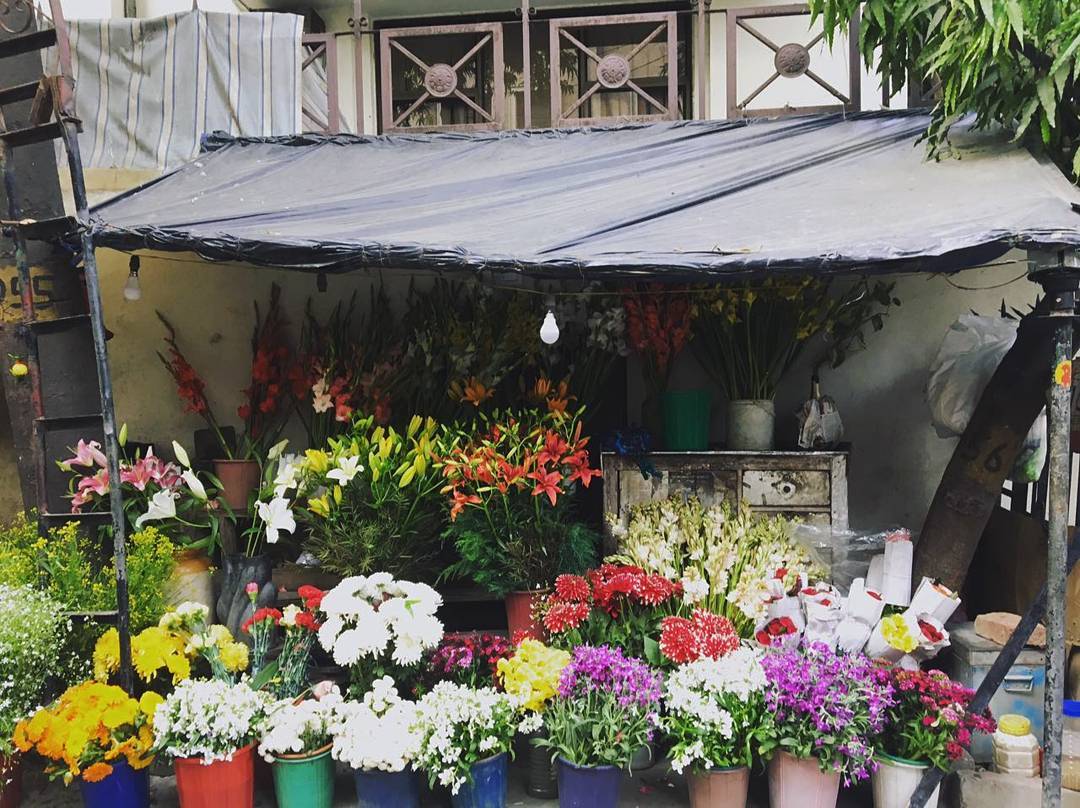 A flower shop